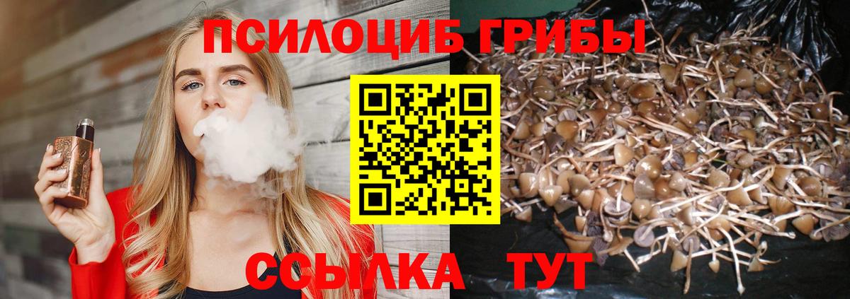 Галлюциногенные грибы Psilocybine cubensis  Вход с VPN  Елизово  Галлюциногенные грибы GOLDEN TEACHER 